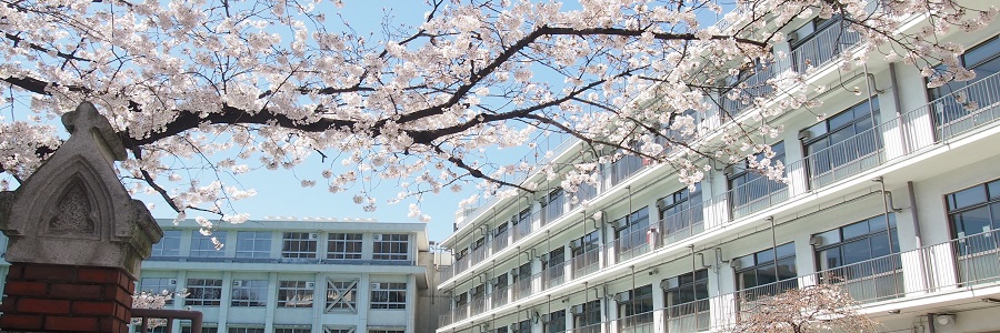 学校案内