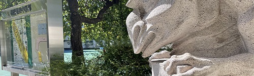 学校案内