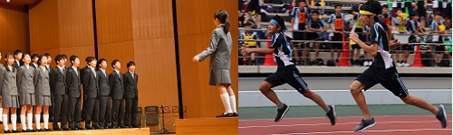 学校案内