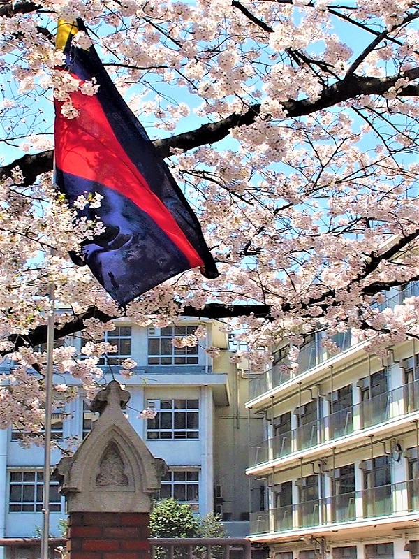 慶應 中等 部 合格 する に は